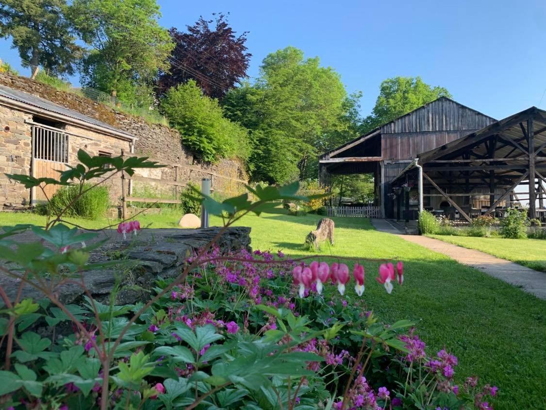 Coeur De Boeur Villa Houffalize Bagian luar foto