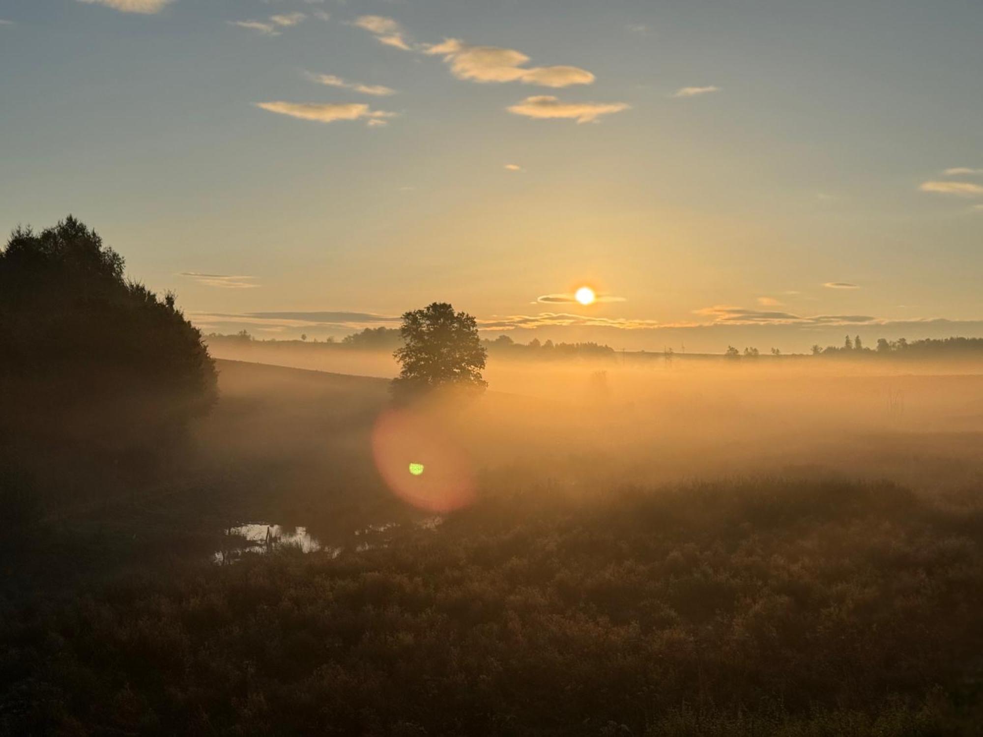 Coeur De Boeur Villa Houffalize Bagian luar foto